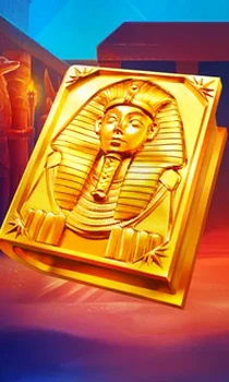 Book of Gold Multichance